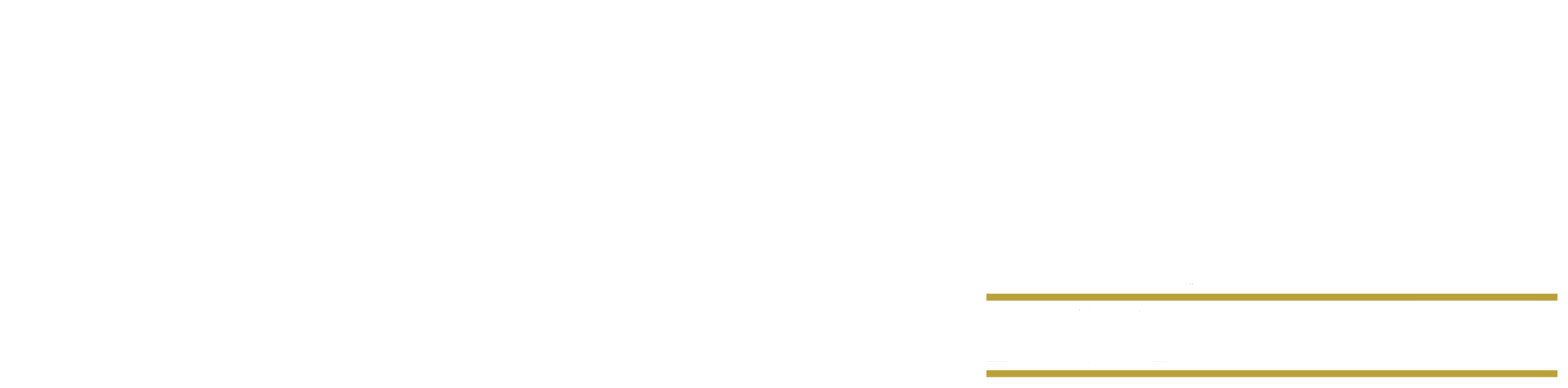 Hastie & Dyce Logo White Long